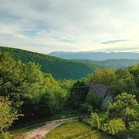 Golden View Td Sarajevo * Bradin Do